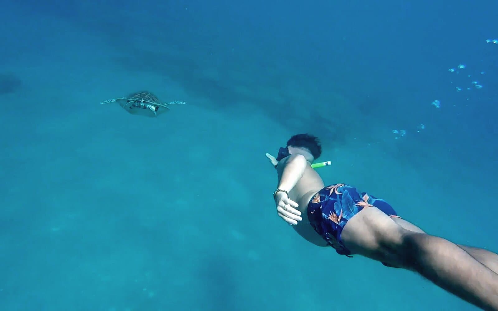 A snorkeller dives towards a turtle in the turquoise water
